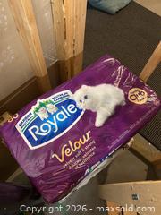 MaxSold Auction: Bounty Paper Towels & Royale Toilet Paper Lot (5 Packs) - Didsbury (Alberta, Canada) PARTNER MANAGED Moving Online Auction - Deer Coulee Drive