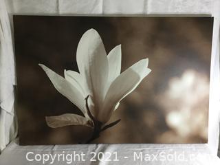 Huge Ikea Picture on Canvas White Magnolia Blossom on by Garry Black 30 3/4"x 46 1/2", 78x 118cm Auction | MaxSold