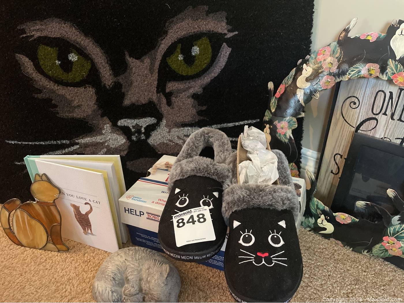 Cats Eyes Brand new slippers mat and decor MaxSold
