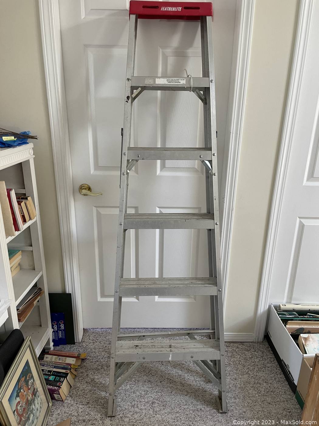 Featherlite 6 store ft ladder