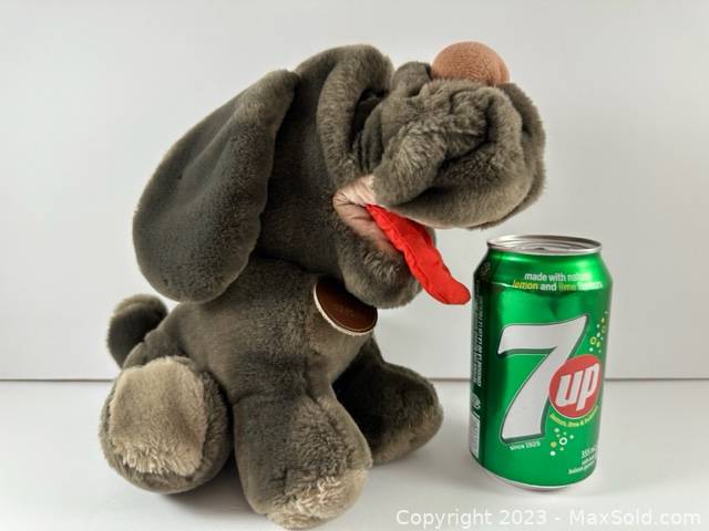 Ganz wrinkles dog sales