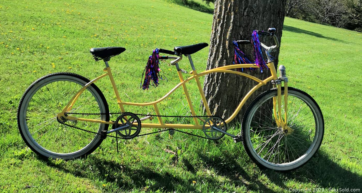 Huffy daisy online tandem