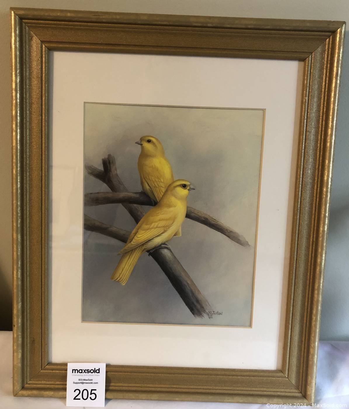 Watercolour Painting of Two Canaries by Gordon C. Turton | Maxsold