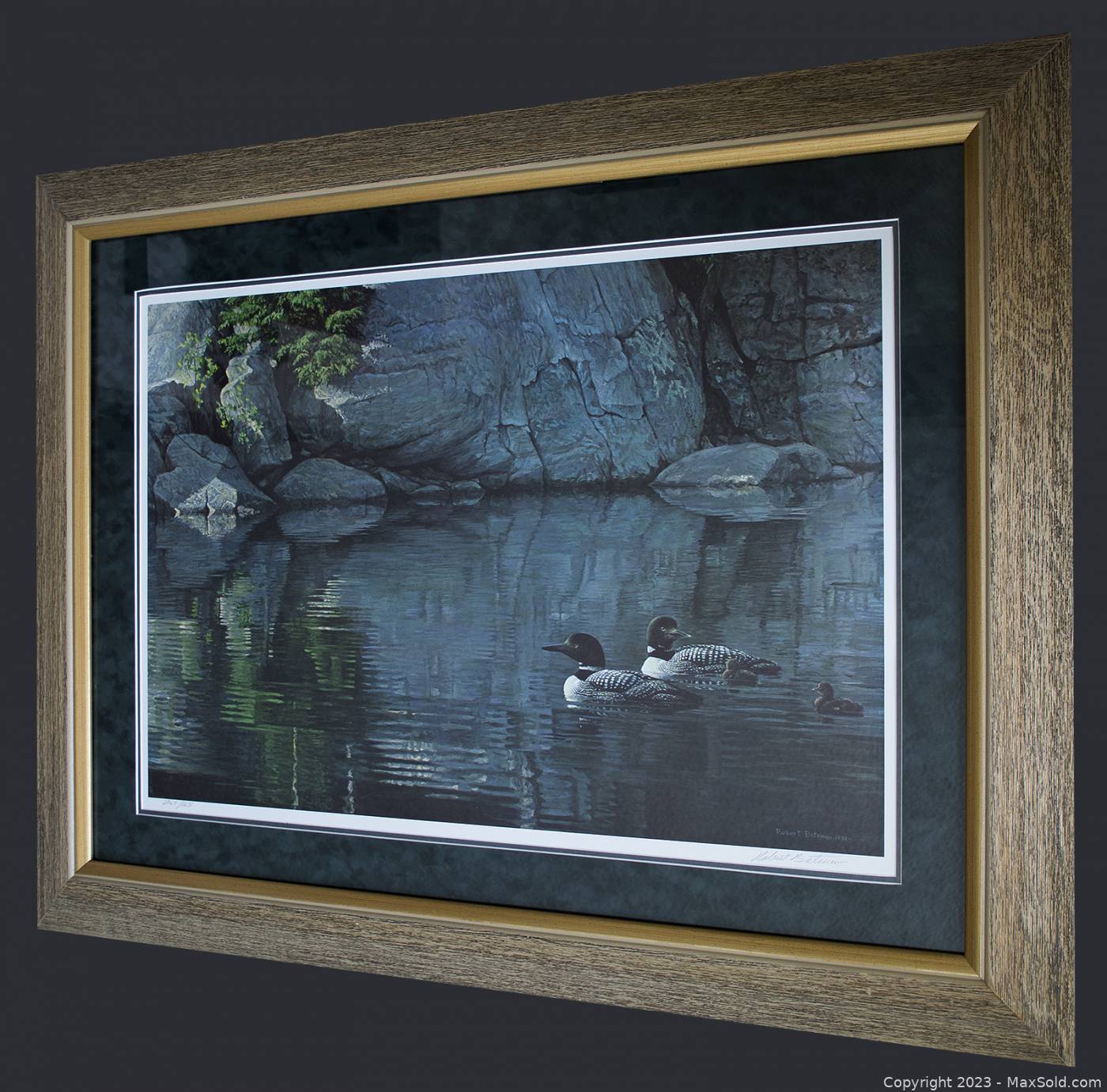 Northern Reflections - Loon Family - Picture This Framing & Gallery