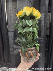 MaxSold Auction: Home decor  - Toronto (Ontario, Canada) SELLER MANAGED Downsizing Online Auction - Carlingview Drive