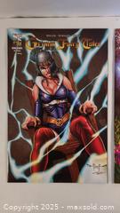 MaxSold Auction: Grimm Fairy Tales #75 76 Comic Style Books from Zenescope  - Toronto (Ontario, Canada) SELLER MANAGED Downsizing Online Auction - Junction Road 