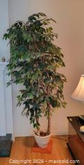MaxSold Auction: Artificial Ficus Weeping Fig Tree with Decorative Pot, 5–7 ft - Ottawa (Ontario, Canada) PARTNER MANAGED Estate Online Auction - Thorncliff Place