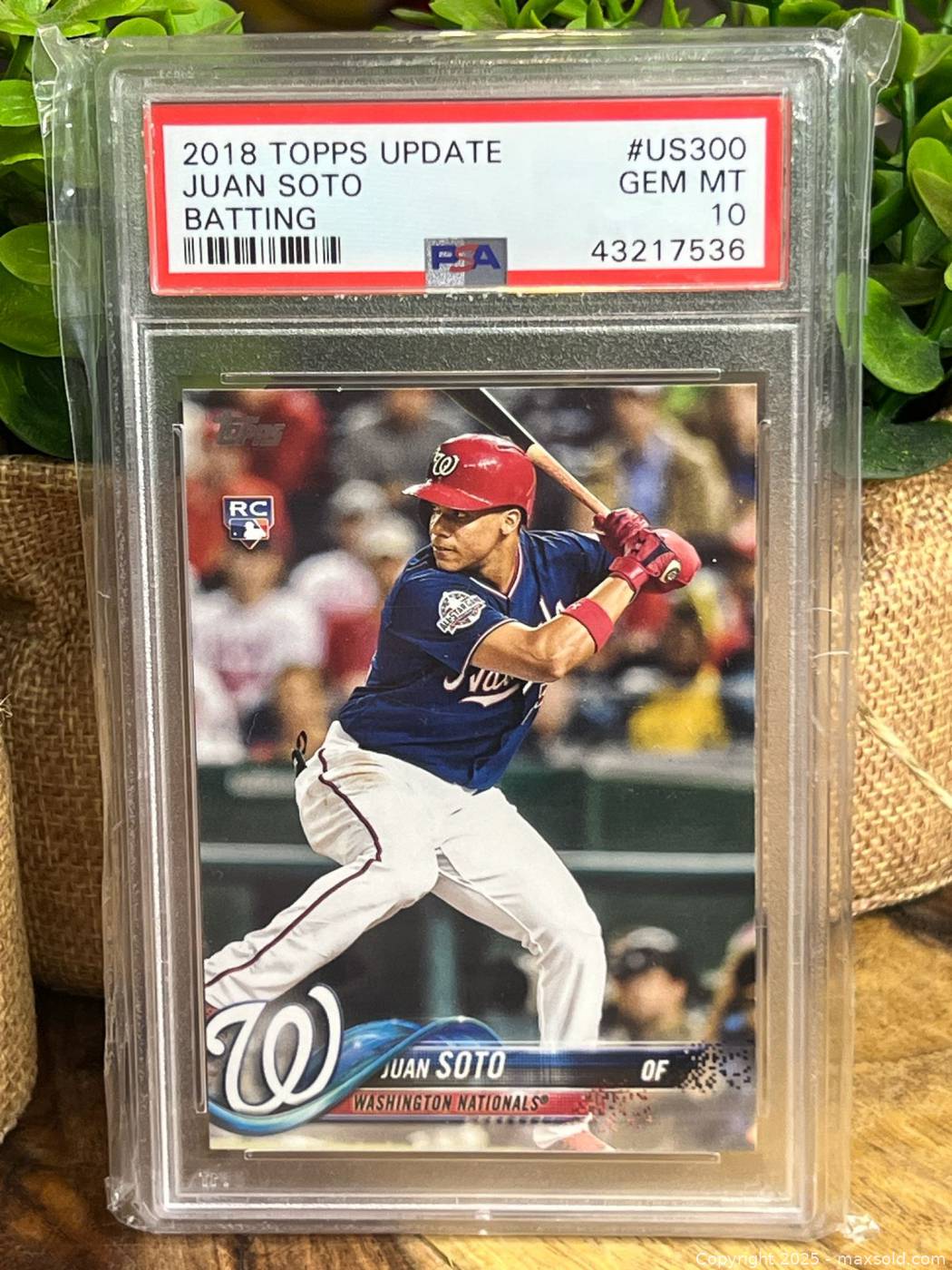 その他 Juan Soto auto psa10 topps 2018 Topps Chrome Update Juan Soto Rookie Auto PSA 10 Auto