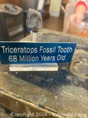 MaxSold Auction: Dinosaur Fossil Tooth - Lanark (Ontario, Canada) SELLER MANAGED Downsizing Online Auction -  Markle Road