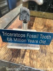 MaxSold Auction: Dinosaur Fossil Tooth - Lanark (Ontario, Canada) SELLER MANAGED Downsizing Online Auction -  Markle Road